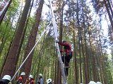 Maibaum_2016 (15).JPG